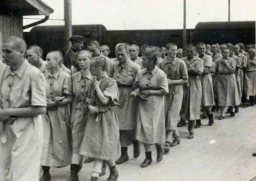 Kaal geschoren vrouwelijke gevangenen in Auschwitz.